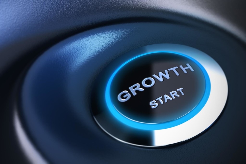Blueberry Power Marketingstrategie für Wachstum
