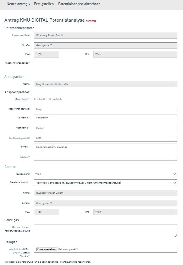 Potentialanalyse KMU DIGITAL Konstantin Heiller CDC CeCE 2