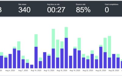 Webseitenanalyse – die halbe Wahrheit